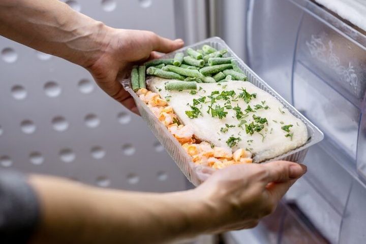 Food Freeze Dryers Guide: Explore Types, Components, Process, Applications, and Planning Factors