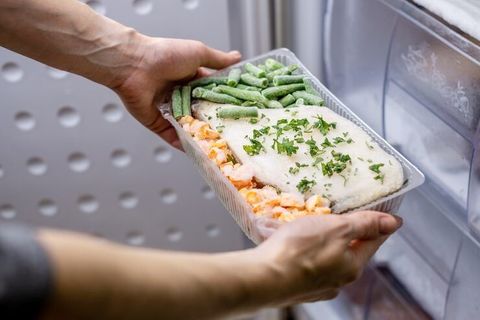 Food Freeze Dryers Guide: Explore Types, Components, Process, Applications, and Planning Factors