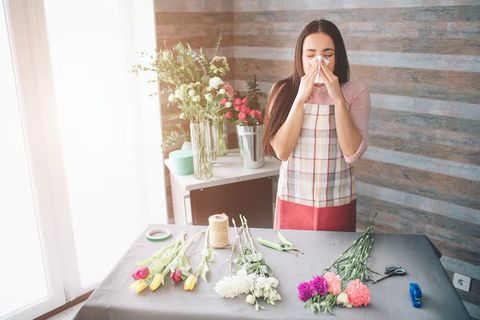 Seasonal Allergies Management Basics for Knowledge of Pollen Reactions and Health Care