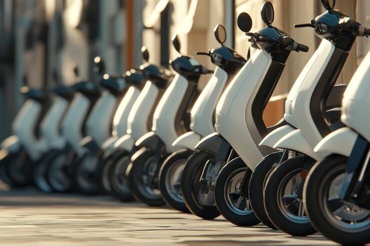 Electric Scooters Basics for Knowledge of Urban Transport and Clean Mobility Systems