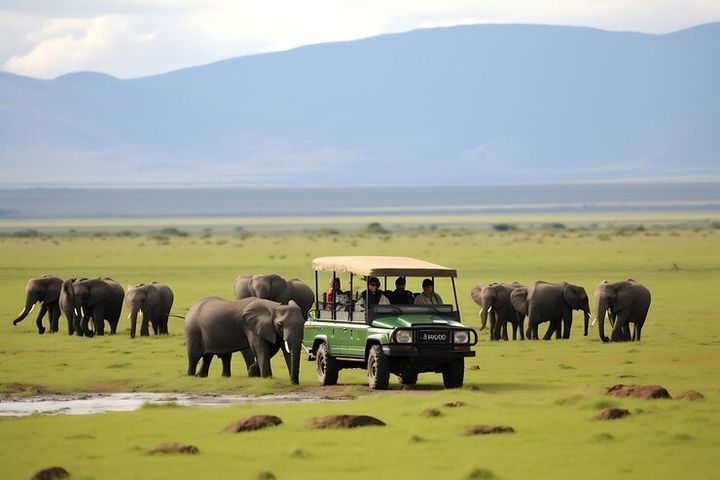 National Park Safaris Overview to Understand Wildlife Tourism and Nature Conservation