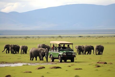 National Park Safaris Overview to Understand Wildlife Tourism and Nature Conservation