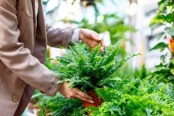Screening Plants Guide: Explore Types, Components, Capacity, Applications, and Planning Factors