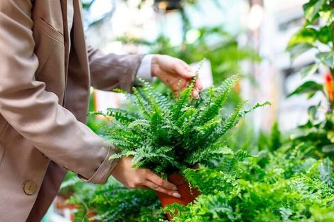 Screening Plants Guide: Explore Types, Components, Capacity, Applications, and Planning Factors