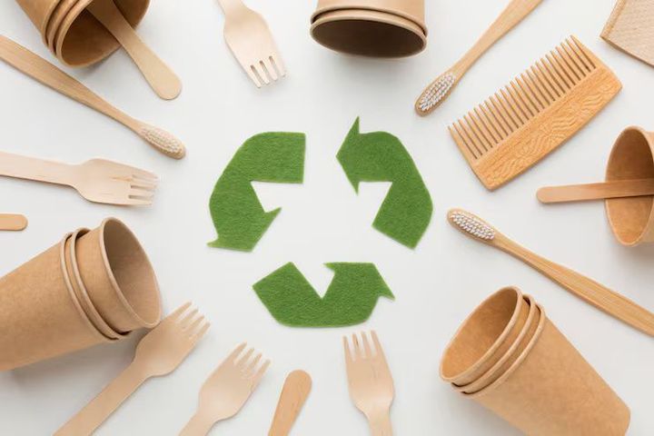 Bio-Based Plastics Guide: Types, Benefits, and Environmental Impact
