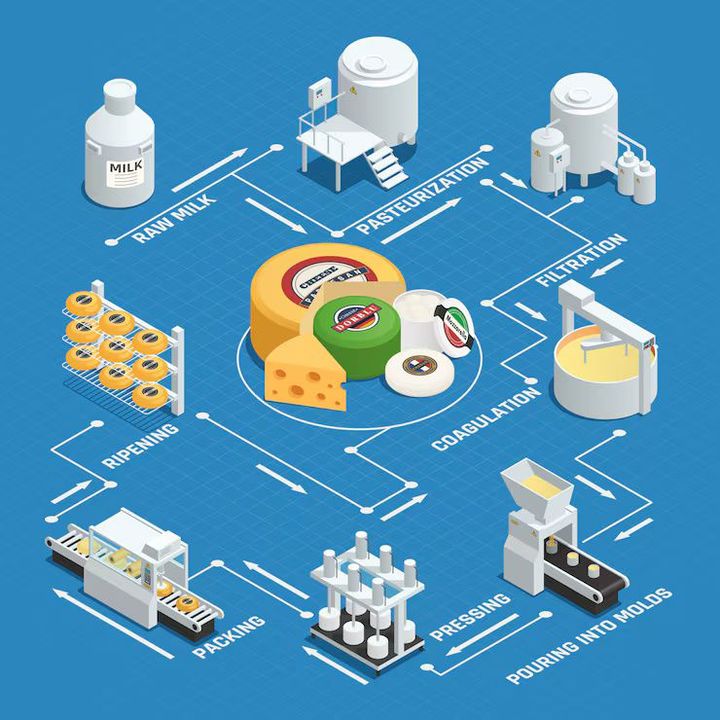 Cheese Making Machines Guide: Process, Types, and Key Functions