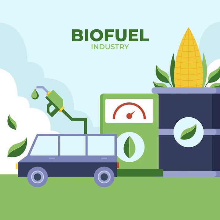 Biofuel Insights: Comparing Ethanol, Biodiesel, and Advanced Alternatives