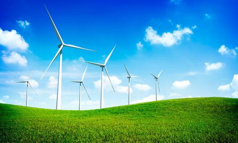 Wind Turbine Insights: Efficiency and Performance Factors