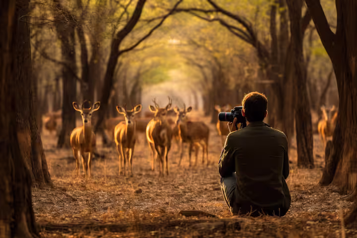 Wildlife Protection Tourism: Overview of Conservation-Focused Travel and Natural Habitats