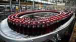 Bottle Capping Lines Guide: Explore Types, Components, Speed, Applications, and Planning Factors