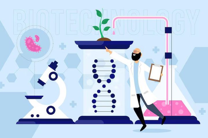 Genetic Algorithms in AI Explanation to Discover Adaptive Search and Optimization Models