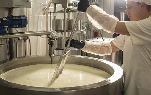 Cheese Making Equipment Guide: Explore Types, Components, Processes, Applications, and Planning Factors